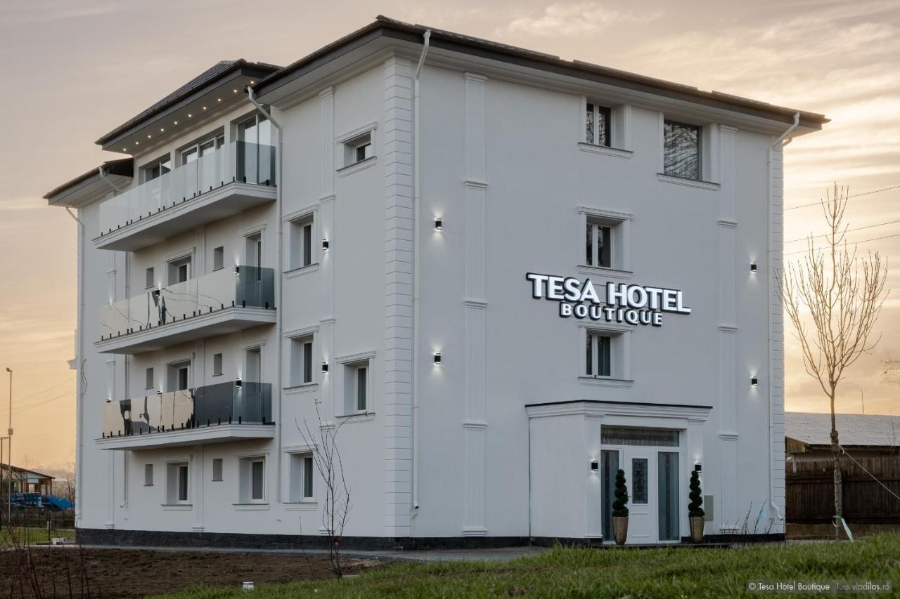 Tesa Boutique Hotel Targu Neamt Exterior photo